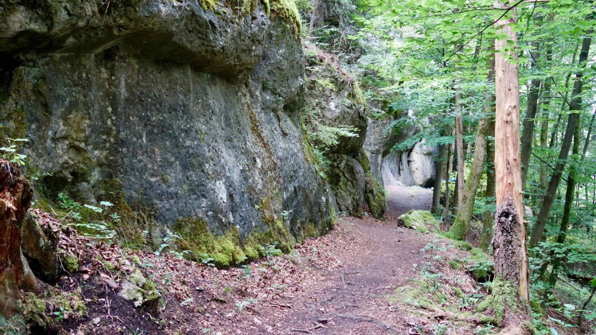 Ferienwohnung Am Walberla / Fraenkische Schweiz Kirchehrenbach Exterior foto